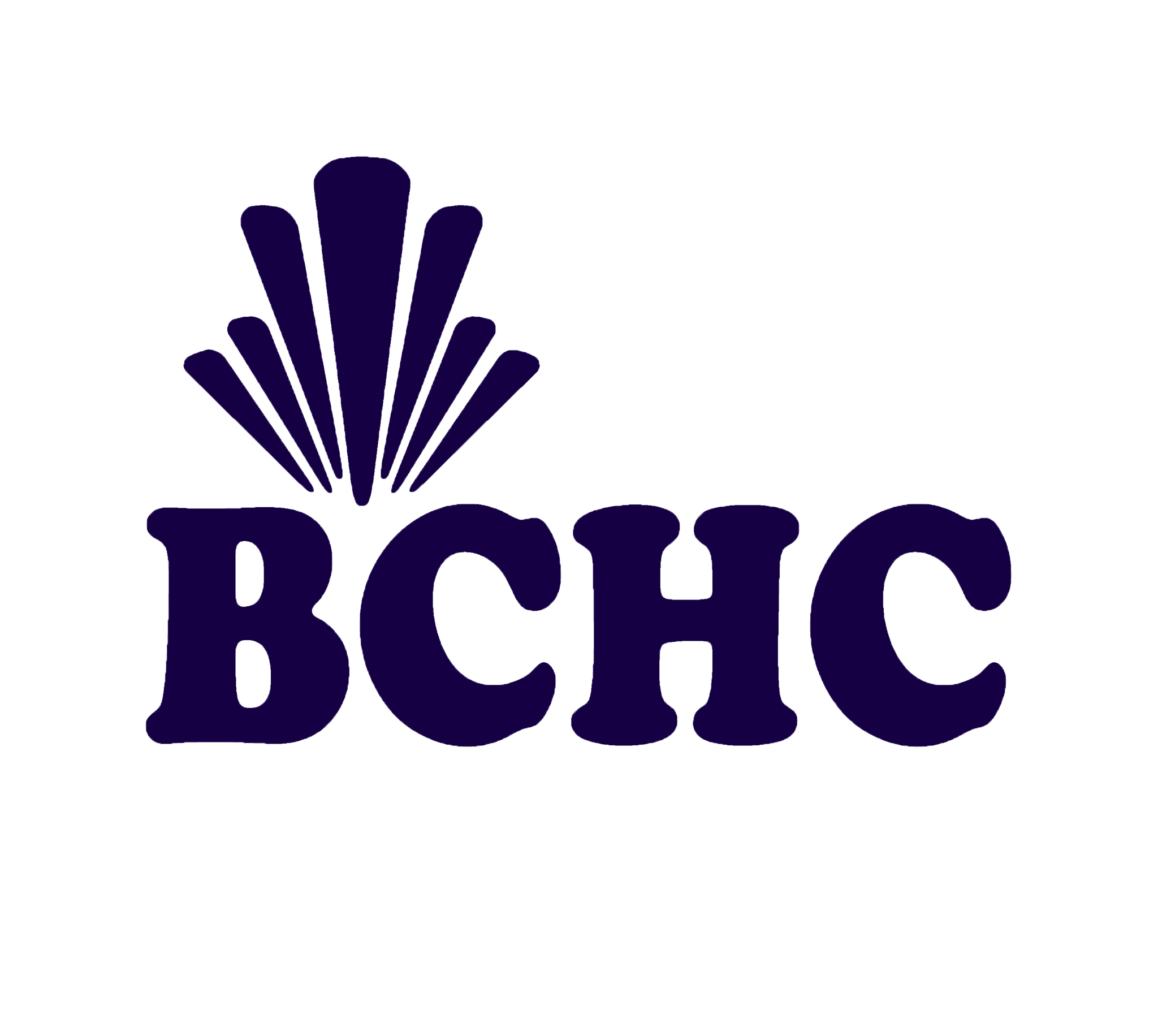 Brownsville Community Health Center_Logo