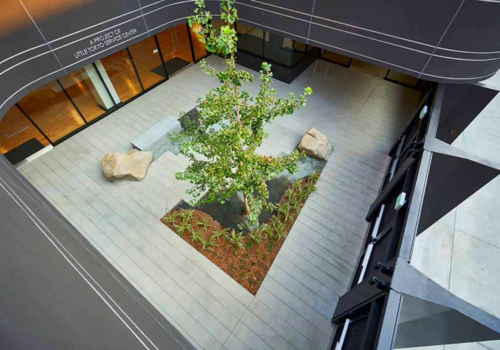 indoor courtyard featuring a large tree with many green leaves